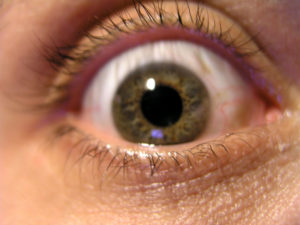 Das menschliche Auge lässt sich leicht austricksen.